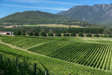 Feathertop Winery: Behind The Wines And Vines - Accommodation QLD 2