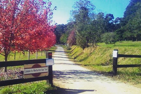 Aqueduct And Rail Trail Self-Guided Bike Tour In Warburton - Accommodation QLD 4