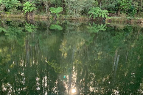 Hiking Tour To Aqueduct And Warburton Valley Lookout - Accommodation QLD 2