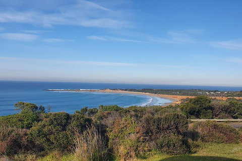 Private Great Ocean Road And Chocolaterie Tour With Tasting - Accommodation QLD 5