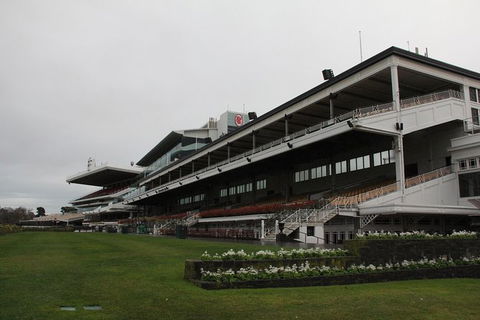 Ultimate Sports Lovers Bus Tour Of Melbourne - Accommodation QLD 10