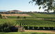 Italy In The Yarra Valley Premium Food And Wine Day - thumb 1