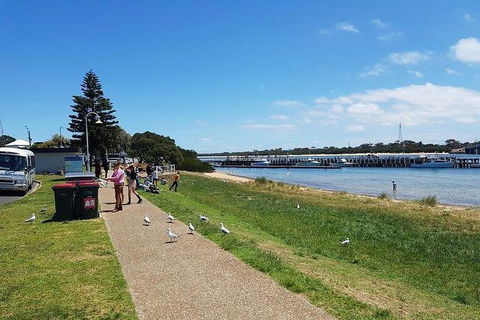 Phillip Island Penguin And Wildlife Tour - Accommodation QLD 25