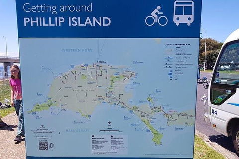 Phillip Island Penguin And Wildlife Tour - Accommodation QLD 28