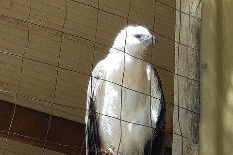 Phillip Island Penguin And Wildlife Tour - Accommodation QLD 21