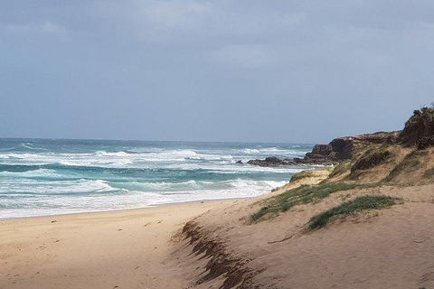Phillip Island Penguin And Wildlife Tour - Accommodation QLD 10