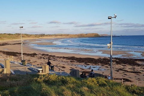 Phillip Island Penguin And Wildlife Tour - Accommodation QLD 8