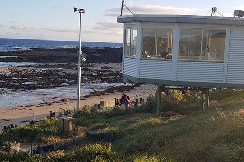 Phillip Island Penguin And Wildlife Tour - Accommodation QLD 33