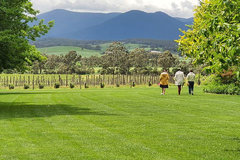 Yarra Valley Wine Tasting Day Tour From Melbourne - Accommodation QLD 6