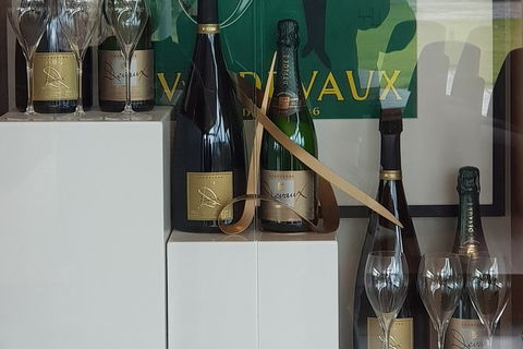 Yarra Valley Wine Tasting Day Tour From Melbourne - Accommodation QLD 2