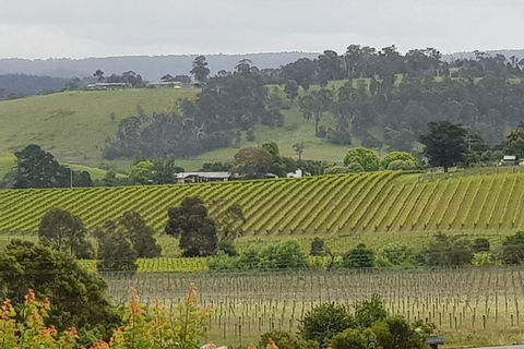 Yarra Valley Wine Tasting Day Tour From Melbourne - Accommodation QLD 0
