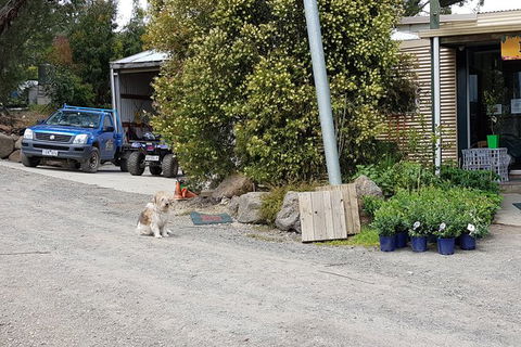 Yarra Valley Wineries And Rayners Orchard Tour From Melbourne - Accommodation QLD 8