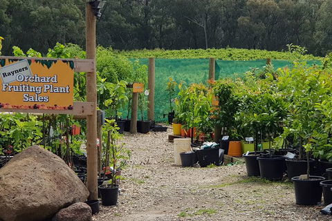 Yarra Valley Wineries And Rayners Orchard Tour From Melbourne - Accommodation QLD 0