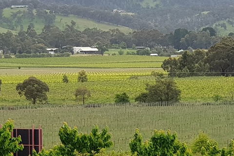 Yarra Valley Wineries And Rayners Orchard Tour From Melbourne - Accommodation QLD 2