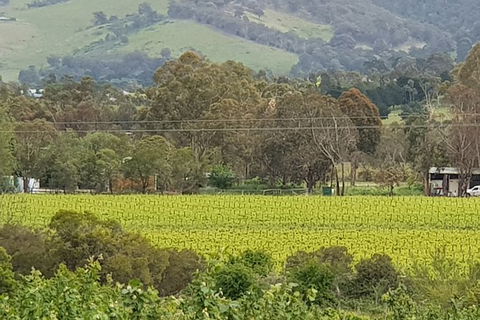 Day Tour Of Yarra Valley Puffing Billy And Rayners Orchard - Accommodation QLD 44
