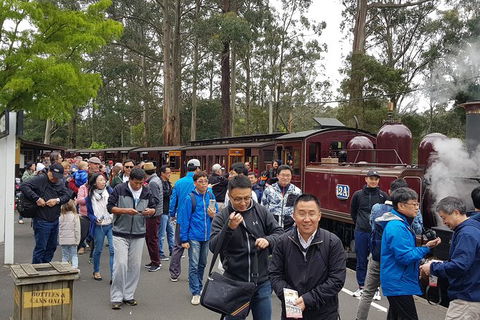 Day Tour Of Yarra Valley Puffing Billy And Rayners Orchard - Accommodation QLD 3