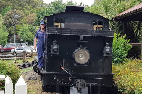 Day Tour Of Yarra Valley Puffing Billy And Rayners Orchard - Accommodation QLD 11