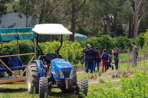 Day Tour Of Yarra Valley Puffing Billy And Rayners Orchard - Accommodation QLD 10