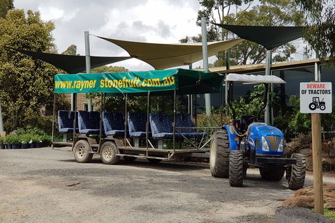 Day Tour Of Yarra Valley Puffing Billy And Rayners Orchard - Accommodation QLD 17