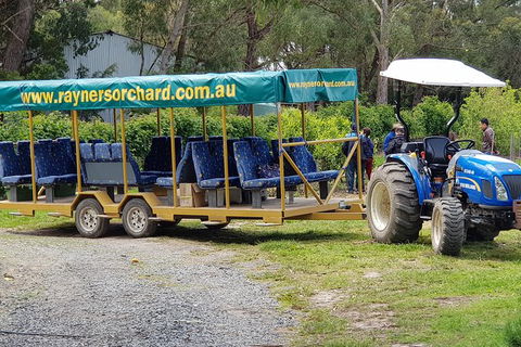 Day Tour Of Yarra Valley Puffing Billy And Rayners Orchard - Accommodation QLD 48