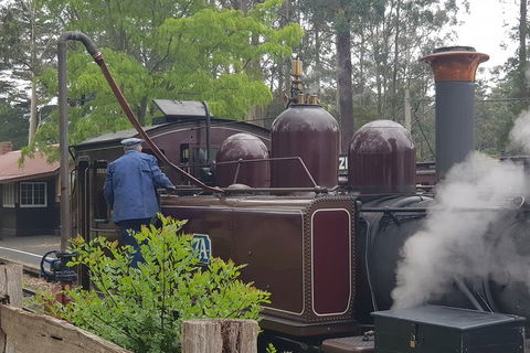 Day Tour Of Yarra Valley Puffing Billy And Rayners Orchard - Accommodation QLD 5