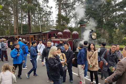 Day Tour Of Yarra Valley Puffing Billy And Rayners Orchard - Accommodation QLD 18