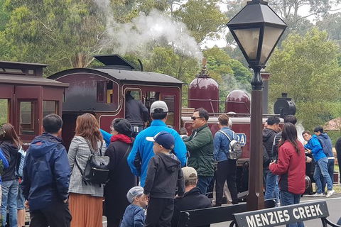 Day Tour Of Yarra Valley Puffing Billy And Rayners Orchard - Accommodation QLD 40
