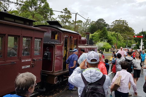Day Tour Of Yarra Valley Puffing Billy And Rayners Orchard - Accommodation QLD 23