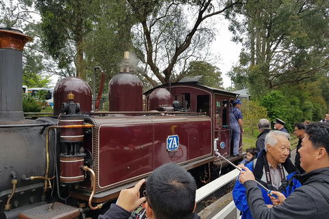 Day Tour Of Yarra Valley Puffing Billy And Rayners Orchard - Accommodation QLD 28
