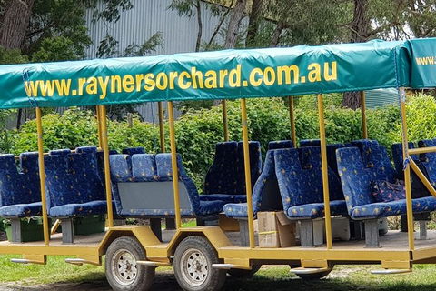 Day Tour Of Yarra Valley Puffing Billy And Rayners Orchard - Accommodation QLD 33