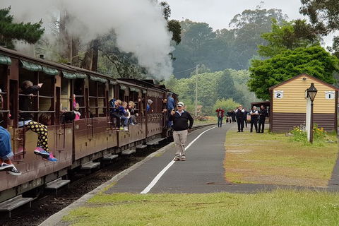 Day Tour Of Yarra Valley Puffing Billy And Rayners Orchard - Accommodation QLD 0