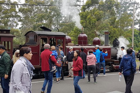 Day Tour Of Yarra Valley Puffing Billy And Rayners Orchard - Accommodation QLD 4