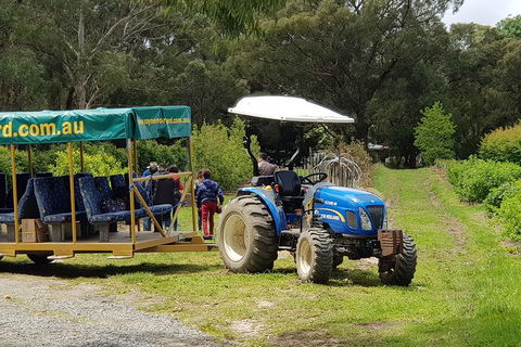 Day Tour Of Yarra Valley Puffing Billy And Rayners Orchard - Accommodation QLD 25