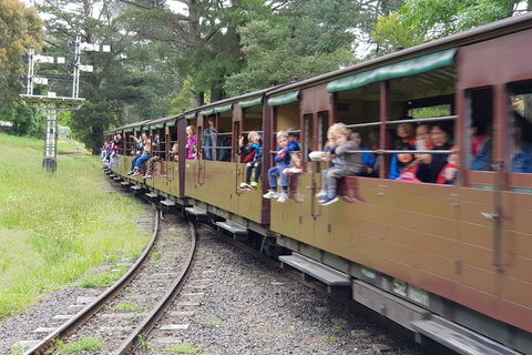 Day Tour Of Yarra Valley Puffing Billy And Rayners Orchard - Accommodation QLD 24