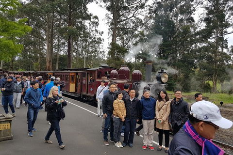 Day Tour Of Yarra Valley Puffing Billy And Rayners Orchard - Accommodation QLD 9