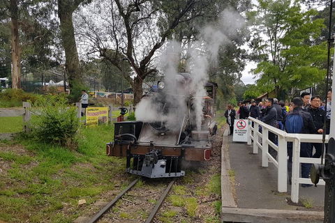 Day Tour Of Yarra Valley Puffing Billy And Rayners Orchard - Accommodation QLD 43