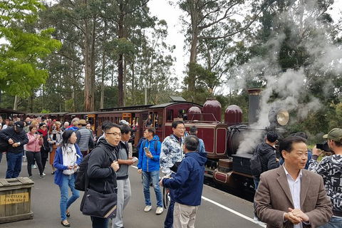 Day Tour Of Yarra Valley Puffing Billy And Rayners Orchard - Accommodation QLD 12