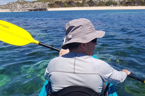 Rottnest Glass Bottom Kayaking Tour - Accommodation QLD 1