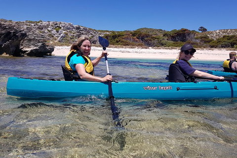 Rottnest Glass Bottom Kayaking Tour - Accommodation QLD 2