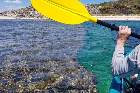 Rottnest Glass Bottom Kayaking Tour - Accommodation QLD 3