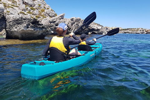Rottnest Glass Bottom Kayaking Tour - Accommodation QLD 4