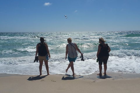 Very Best Of Perth Tour - Wildlife Park & City Highlights Tour - Accommodation QLD 16
