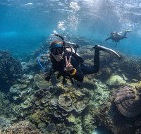 Ningaloo Adventure and Manta Ray Tour - Accommodation QLD