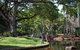 Darwin City Sights And Jumping Crocodile Cruise - thumb 9