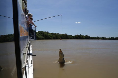 Darwin City Sights And Jumping Crocodile Cruise - Accommodation QLD 2