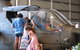 Darwin City Sights And Jumping Crocodile Cruise - thumb 11