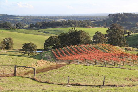 Ferguson Valley Full Day Tour - Accommodation QLD 0