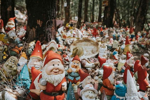 Ferguson Valley Full Day Tour - Accommodation QLD 7