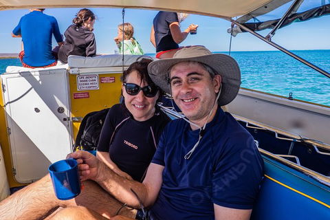 Ningaloo Immersion Private Charter - Accommodation QLD 7