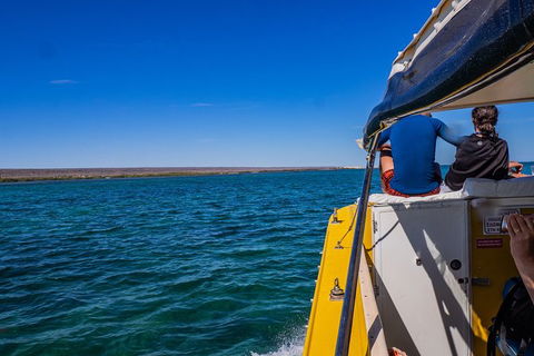 Ningaloo Immersion Private Charter - Accommodation QLD 0